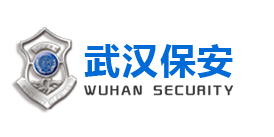 思迪恩是專業的亮化設計、亮化工程公司底部logo